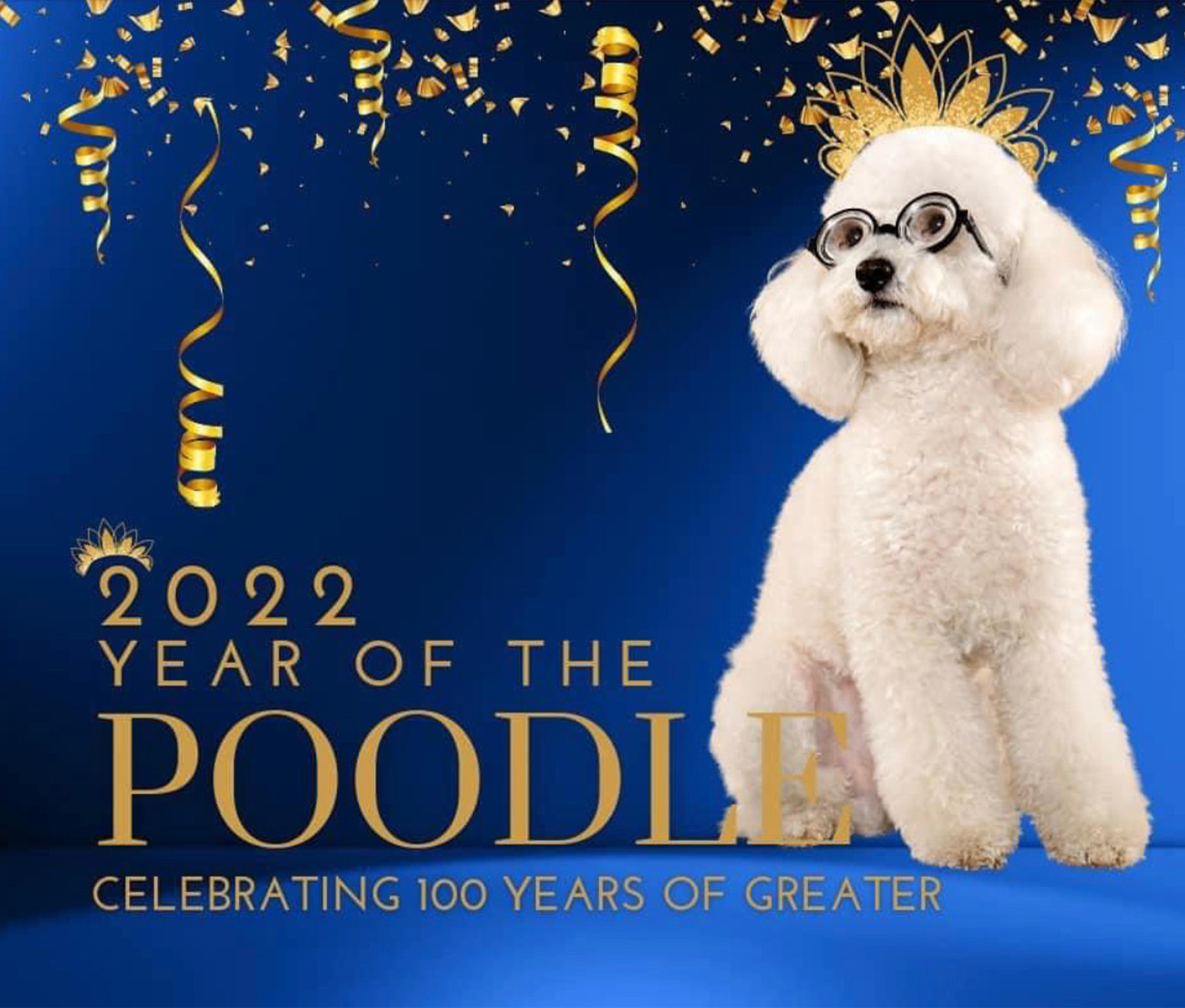 Tumbler: 2022 Year of the Poodle