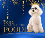 Load image into Gallery viewer, Tumbler: 2022 Year of the Poodle
